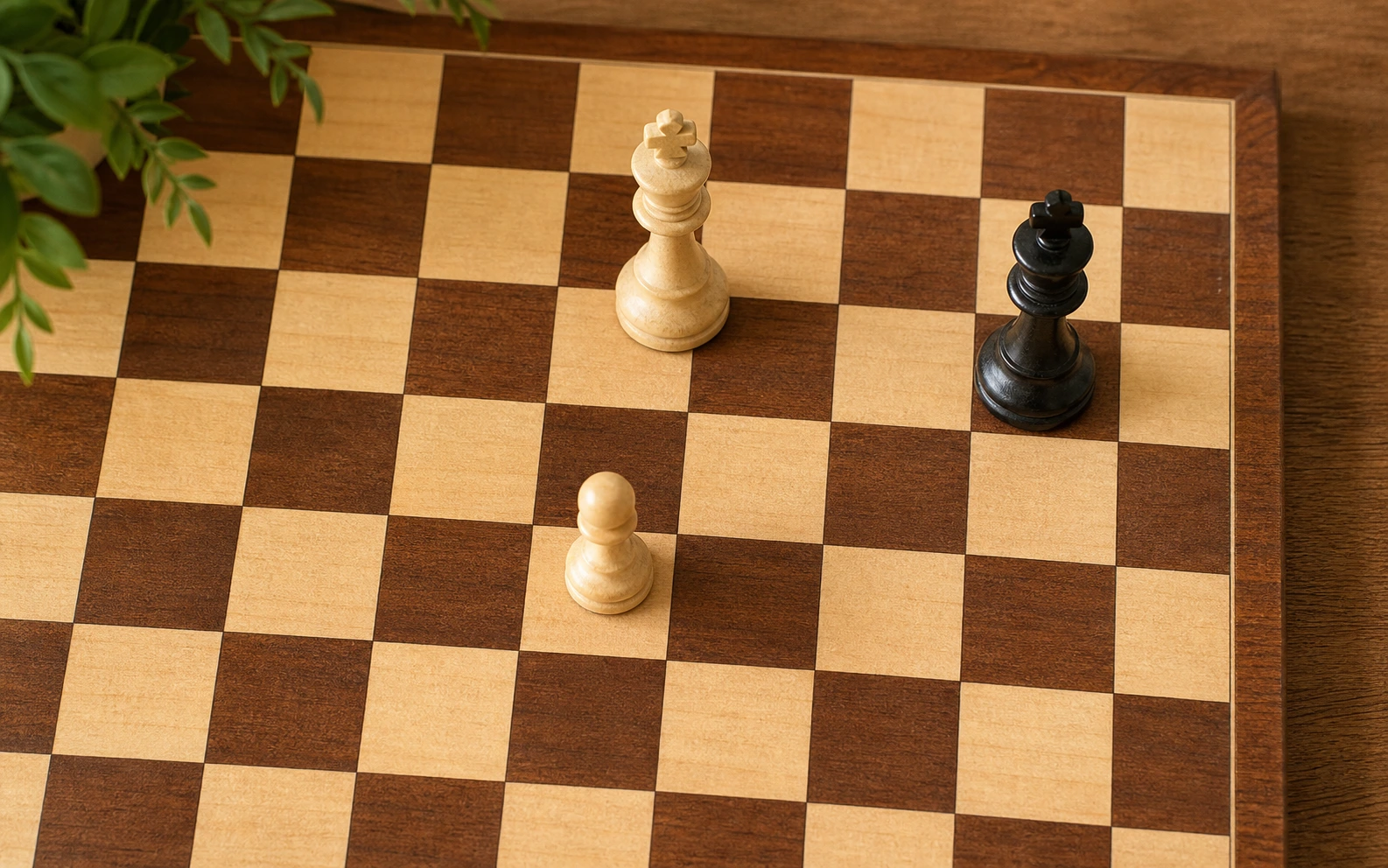 Chess endgame position with King and Rook against lone King — basic chess endgames — ChessWize